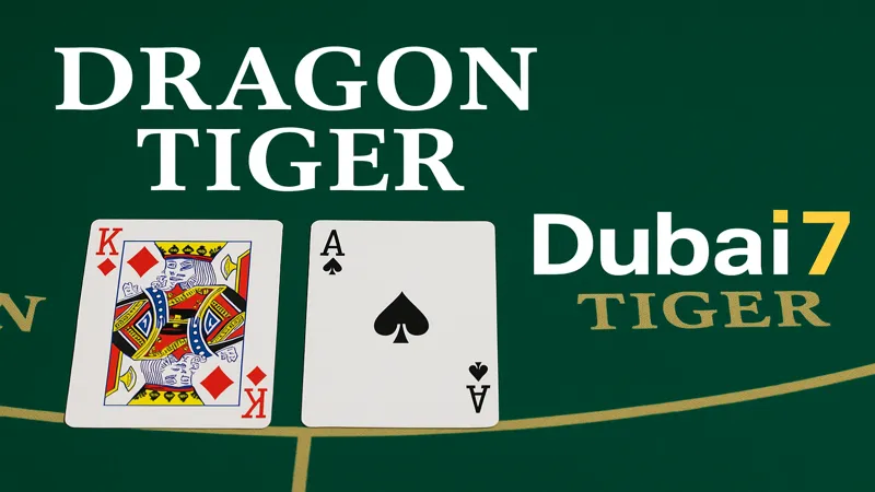 dragon_tiger_strategy_dubai7